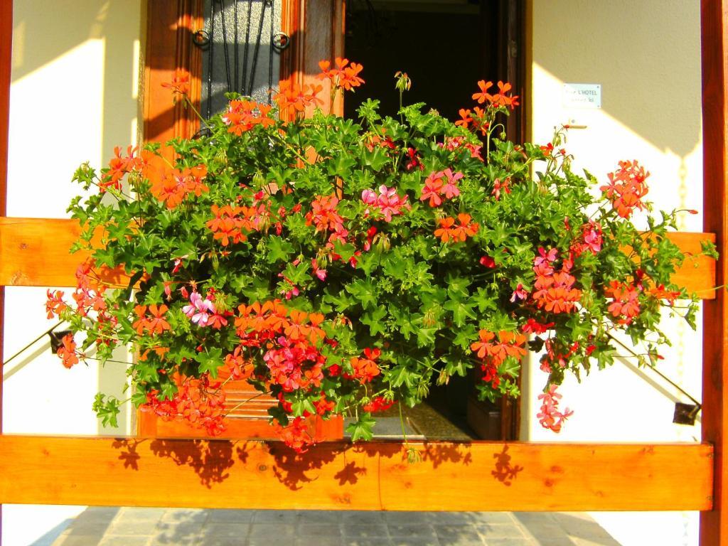 B&B Le Petit Normand ชัลเลย์ ภายนอก รูปภาพ